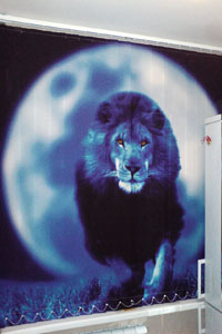 жалюзи фотопечать животные лев