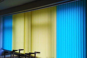 жовто-блакитные