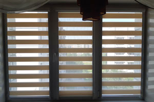 зебра - штора 2020