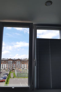  плиссе штора с узором 2020