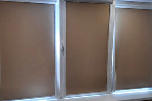 зебра - штора 2020