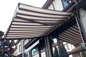 маркизы в брянске