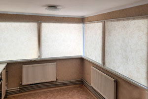  рулонная штора 2023