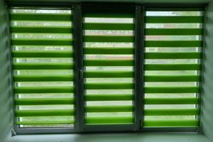 Рулонные шторы зебра зеленые