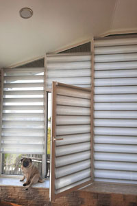 Рулонные шторы зебра зеленые