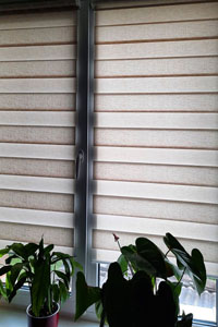 Рулонка 2024 Брянск