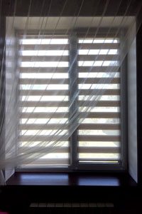 Рулонка 2024 Брянск