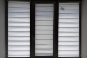 Рулонка 2024 Брянск