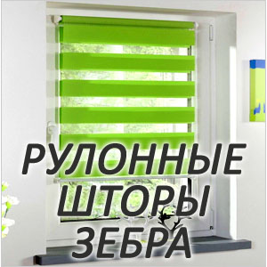 Рулонные шторы ЗЕБРА в Брянске
