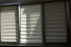 штора рулонная зебра на окне