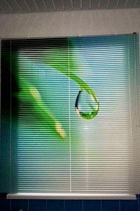 жалюзи с фотопечатью в Брянске