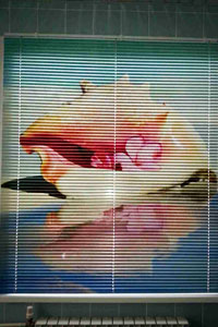 жалюзи кассетные фотопечать Брянск