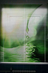 жалюзи фотопечать в Брянске заказать