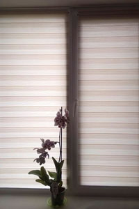 рулонные шторы зебра на окно