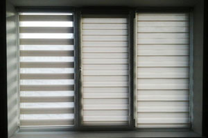 Шторы рулонные день-ночь